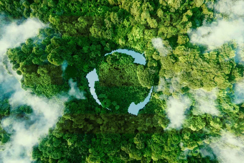 Fotografía de un bosque ecológico para la fabricación de detergentes ecológicos