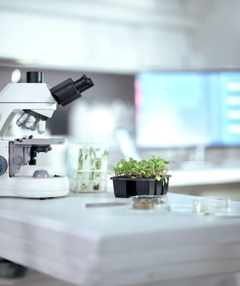 imagen de laboratoria y un microscopio ciencia naturalProeco Quimicas