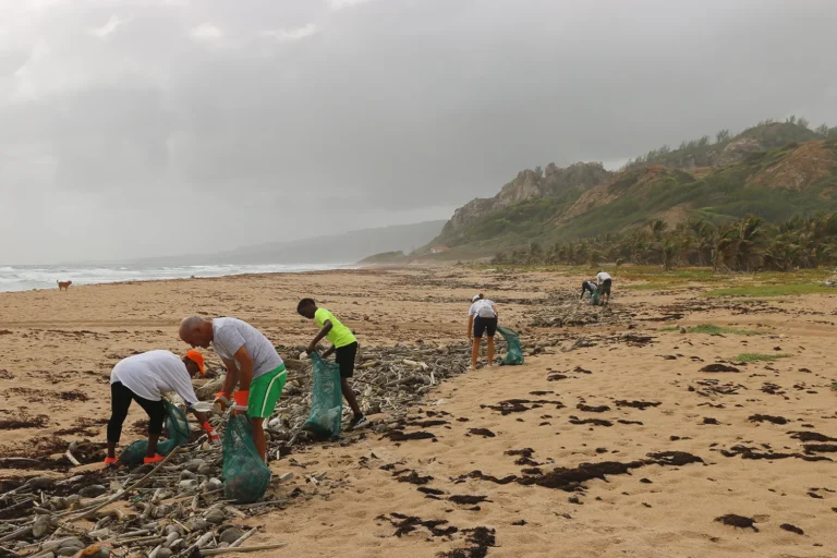 personas en la playa cogiendo plásticos y reciclando